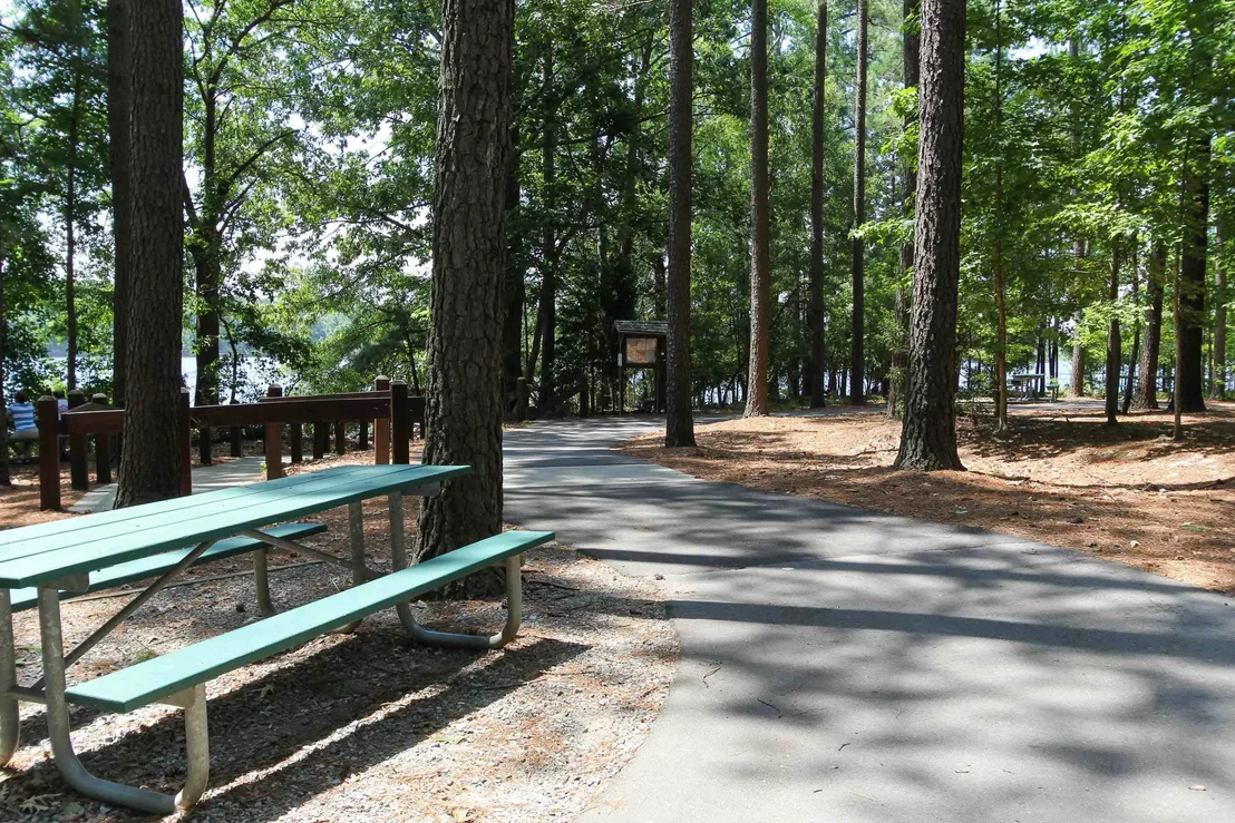 Photo of 135 Mount Olive Trail
