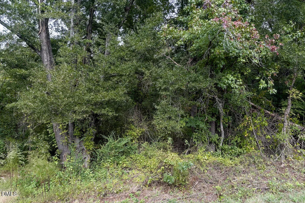 Photo of 0 Bob Gauldin Drive