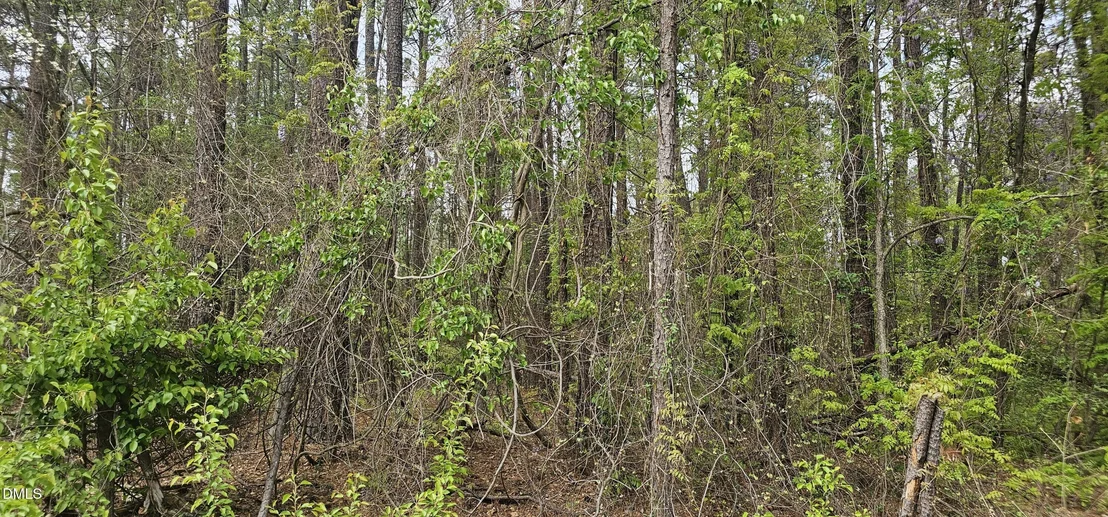 Photo of 312 Teel Drive
