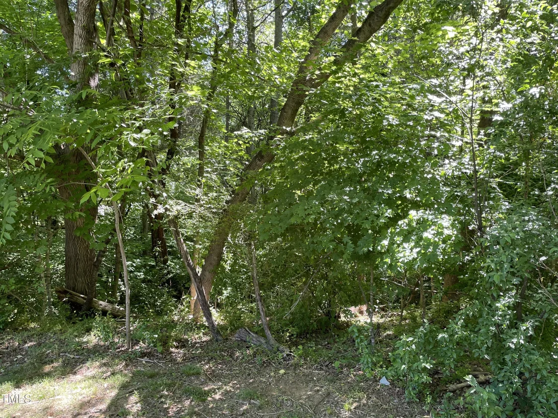 Photo of 39 Thompson Road