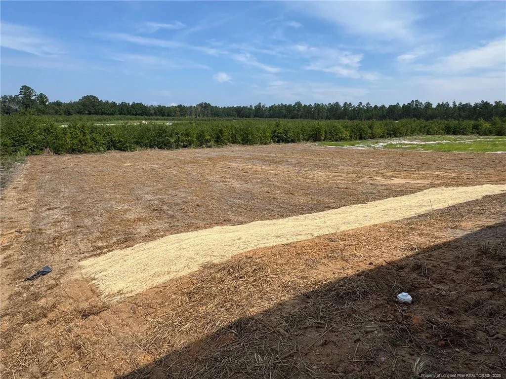 Photo of 238 Ashley Heights (Lot 101) Drive