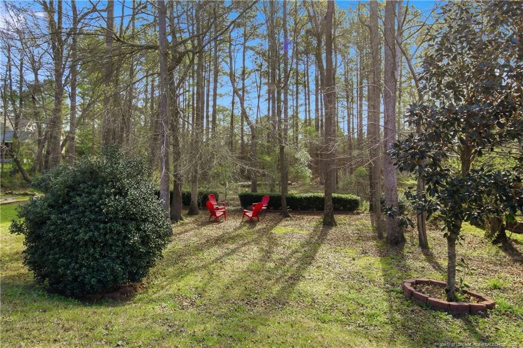 Photo of 299 Orchard Falls Drive