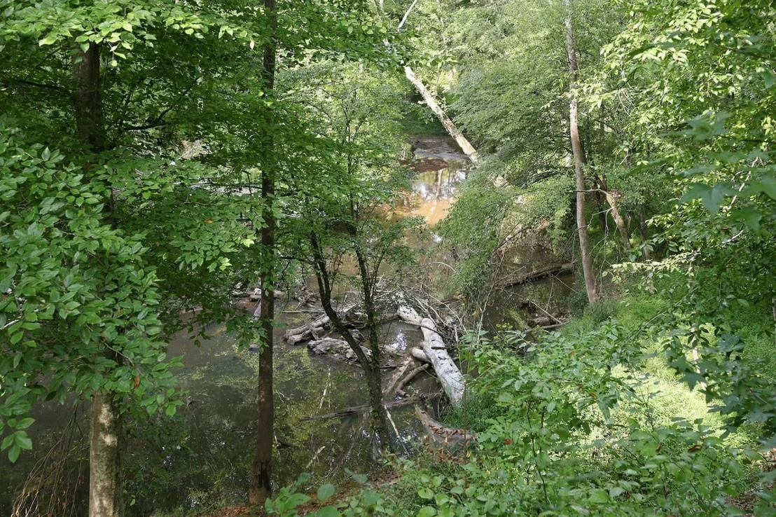 Photo of 4592 Boogaboo Trail