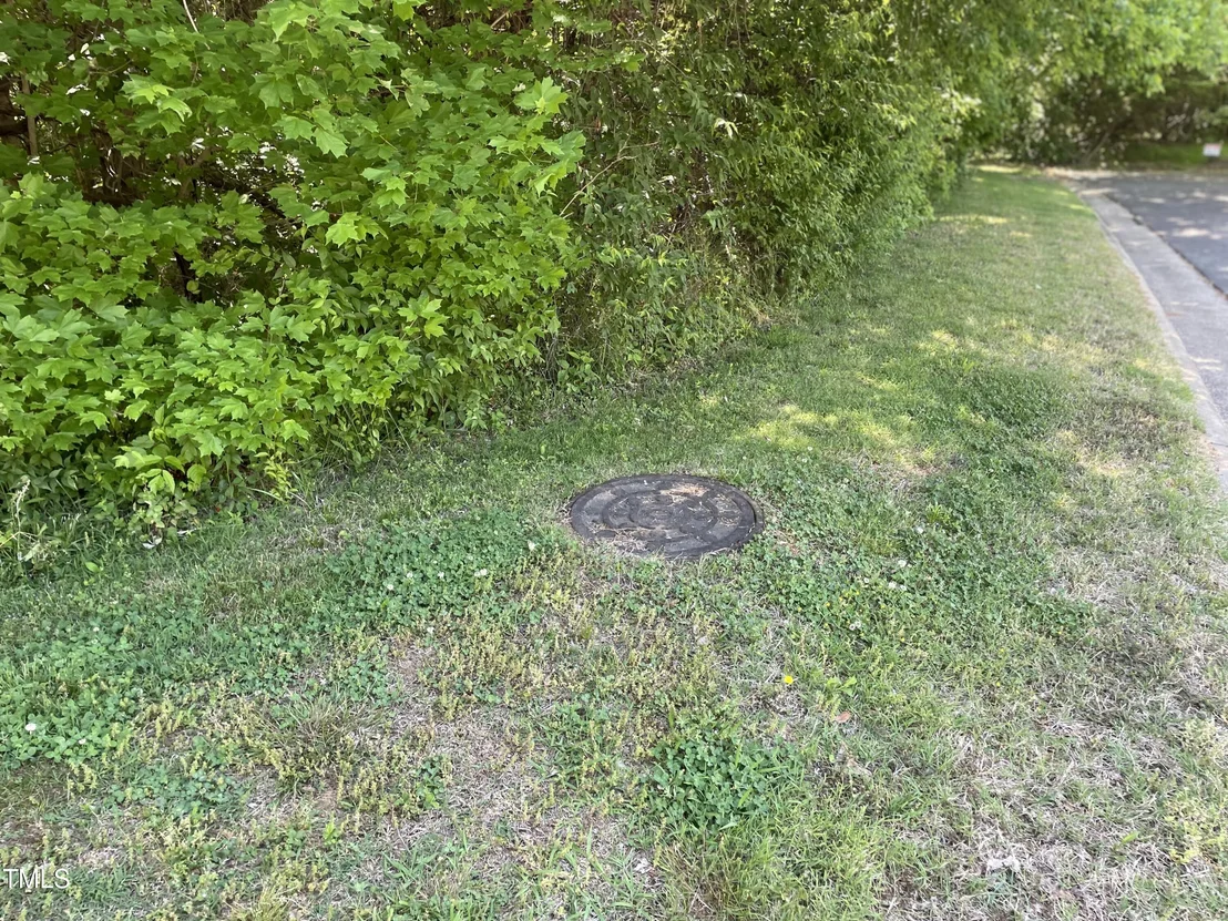 Photo of 39 Thompson Road