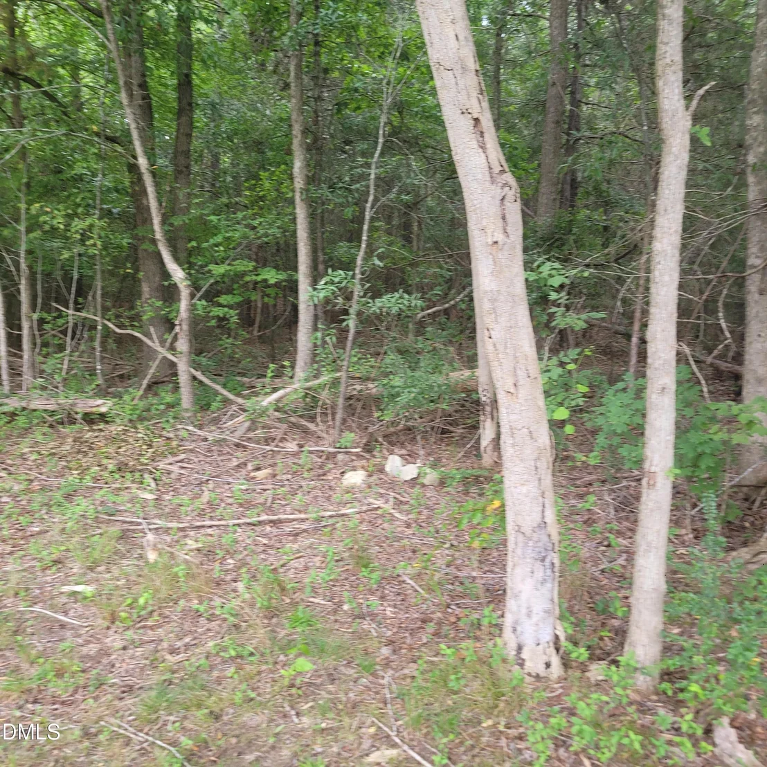 Photo of 00 Highway 49