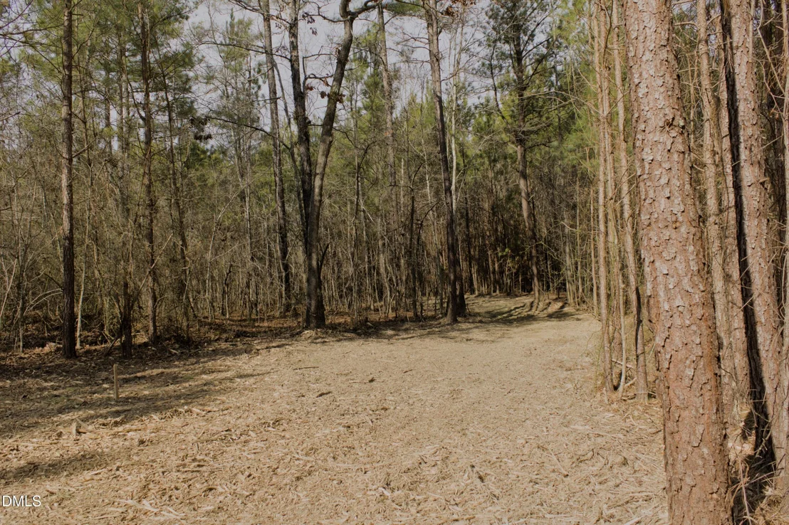 Photo of Lot 00 John Snipes Road