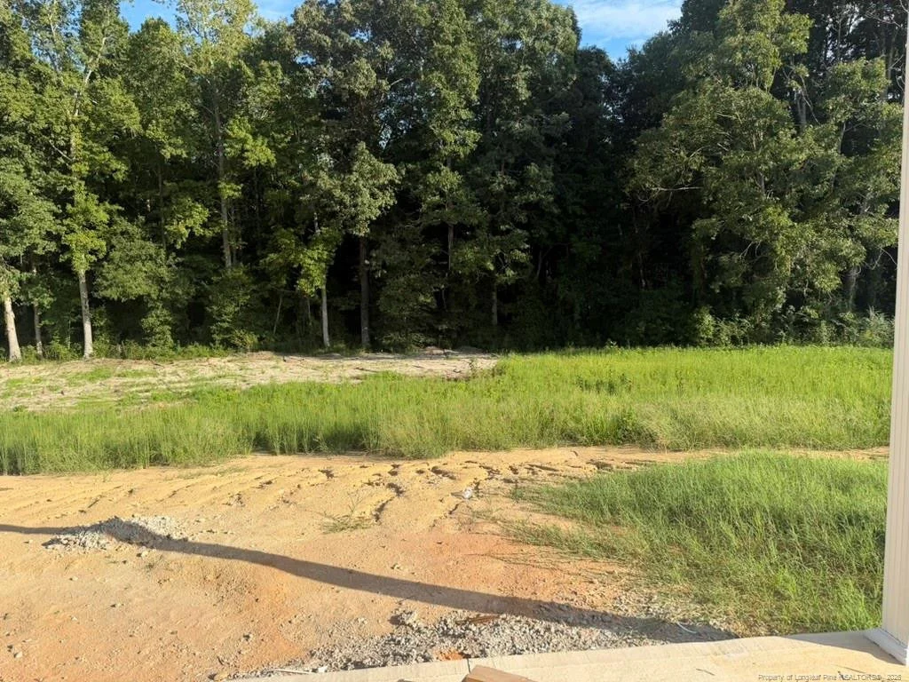 Photo of 292 Black Duck (Lot 87) Lane