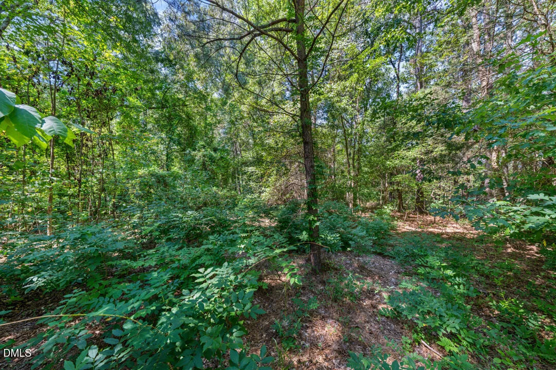 Photo of 1028 Lynn Road