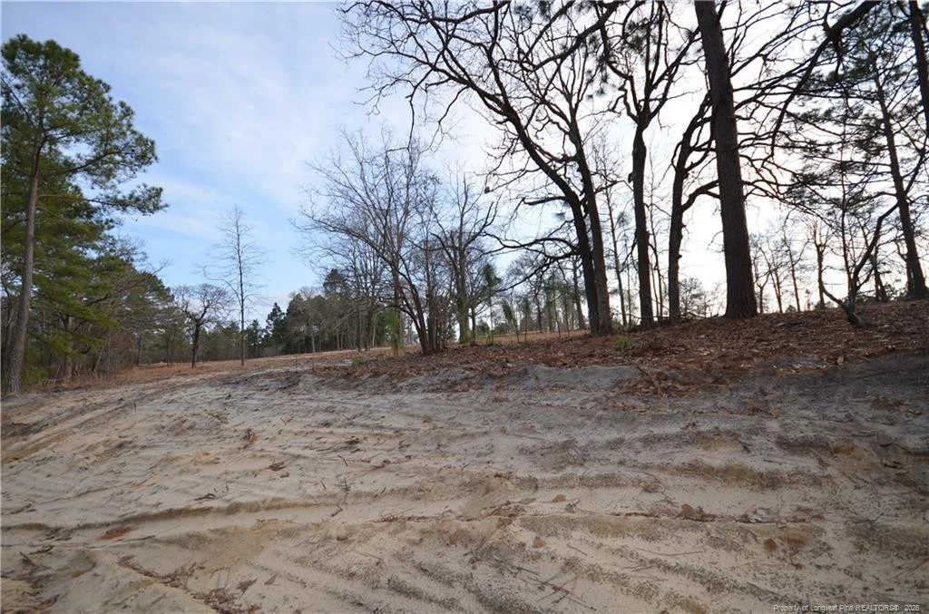 Photo of 302 D L Phillips (Lot 1) Lane