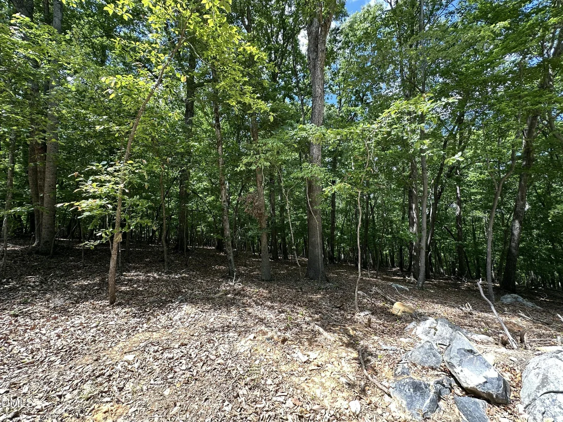 Photo of 033 Fire Tower Drive