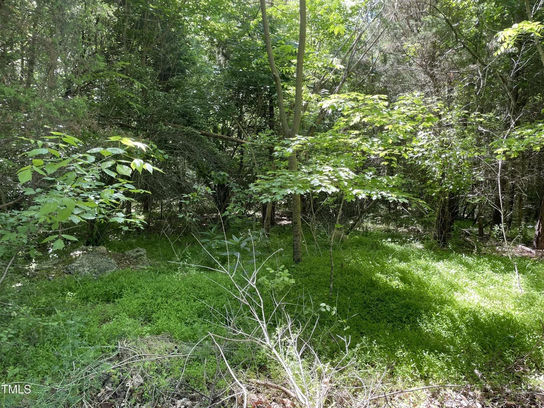 Photo of 39 Thompson Road