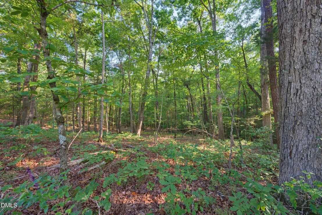 Photo of 100 Sloping Pond Road