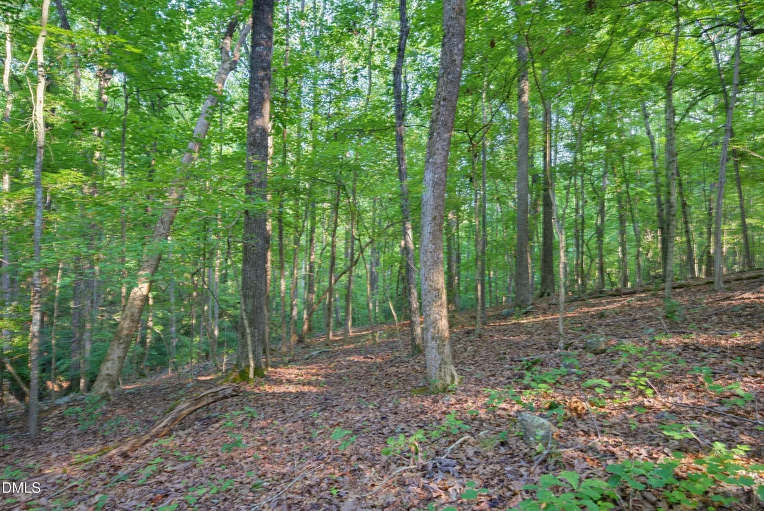 Photo of 100 Sloping Pond Road