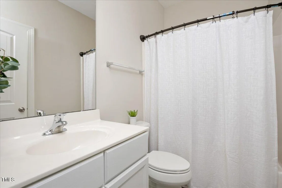 Photo of 610 Silk Tree