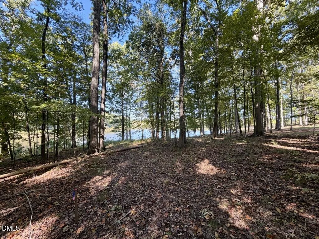 Photo of 163 Forest Bridge Road