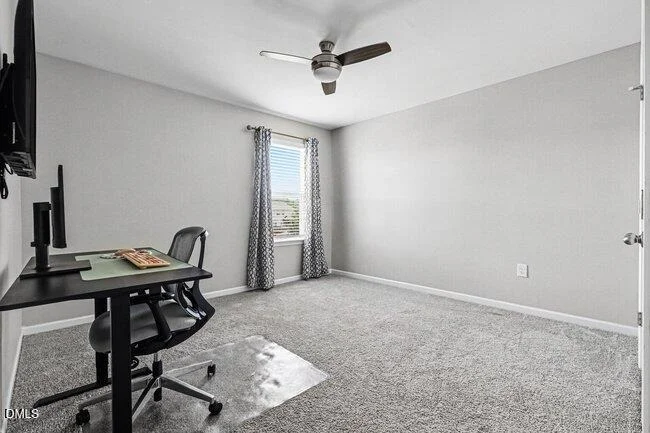 Photo of 2020 Tulip Spring Drive