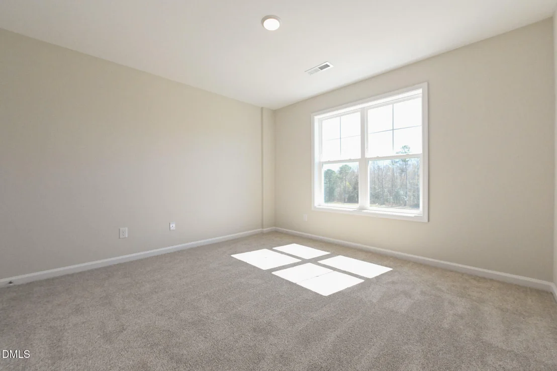 Photo of Unit LOT96 at 293 Black Duck Lane