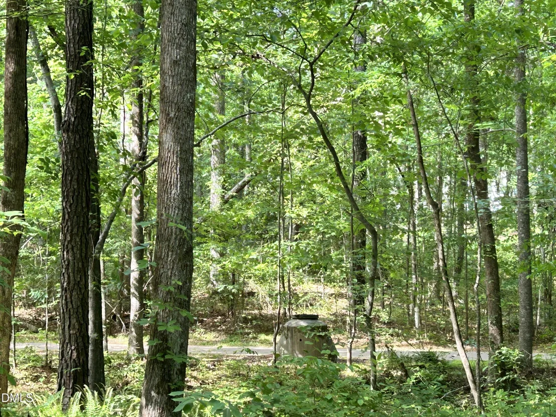 Photo of 1123 Wake Robin Lane