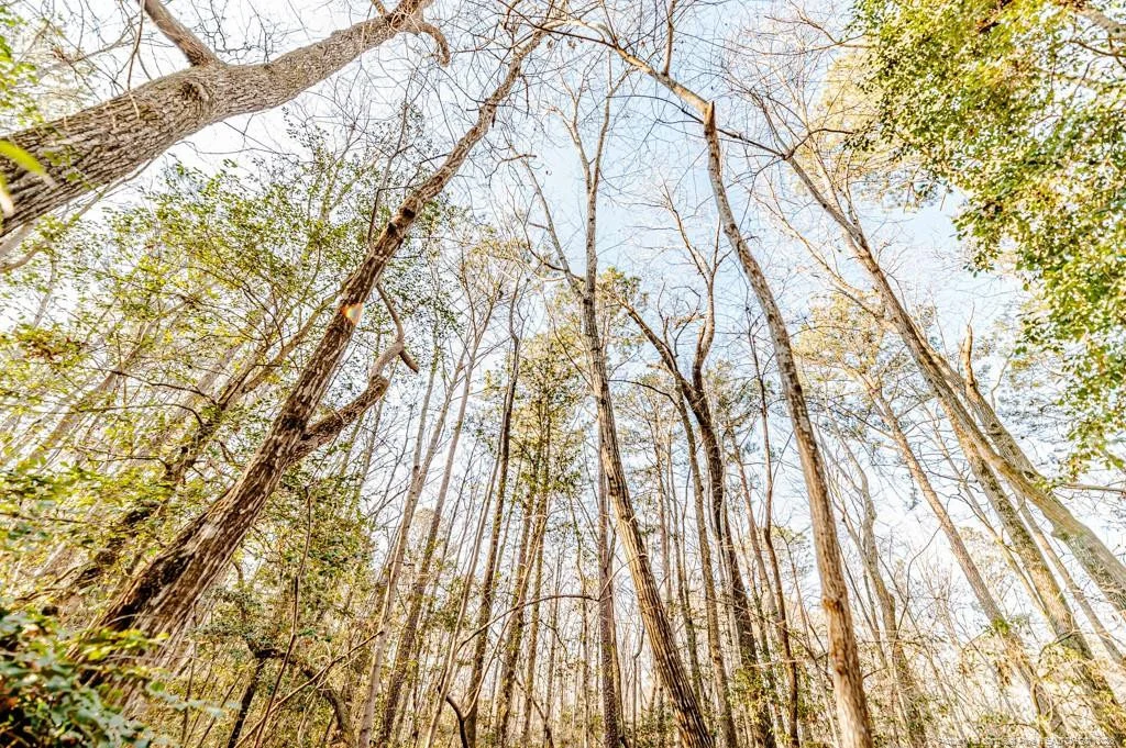 Photo of 2028 Long Point Trail