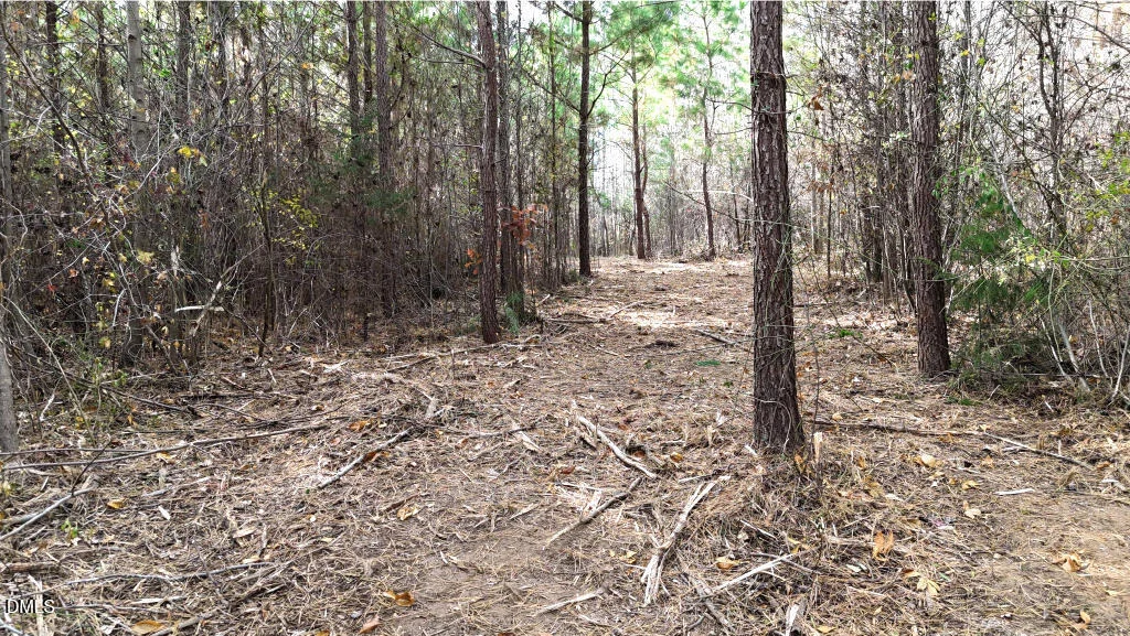 Photo of Lot 4 Bessie Daniel Road