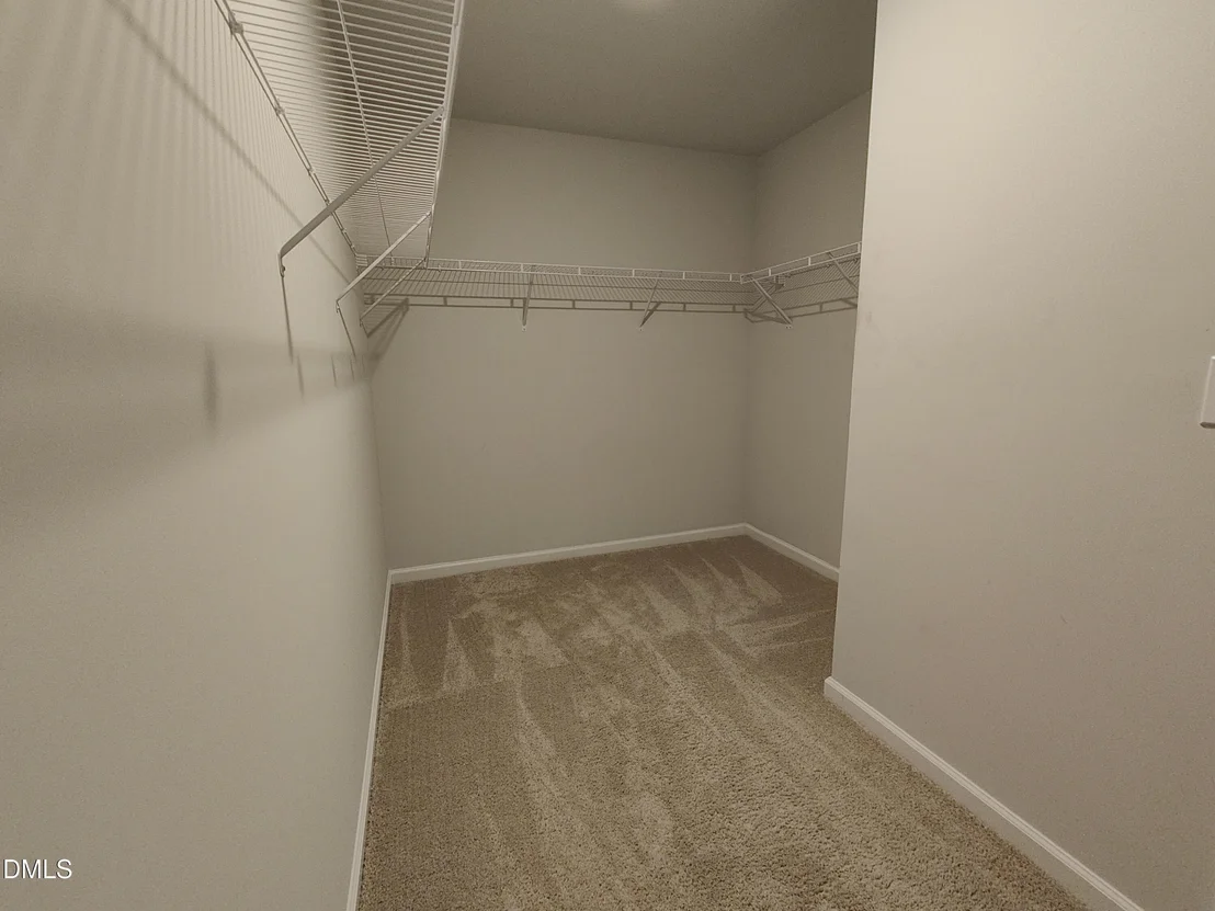 Photo of 165 Spotted Bee Way