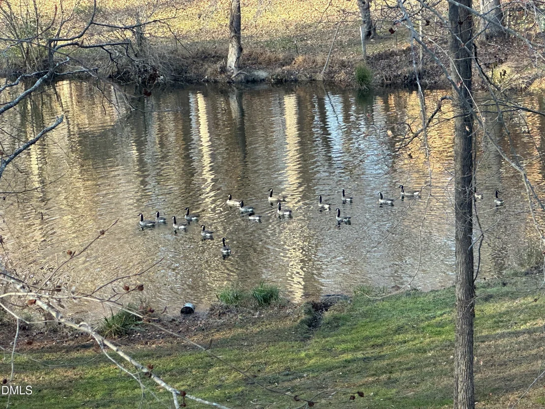 Photo of 4416 Arrowhead Trail