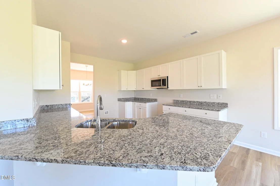 Photo of Unit LOT96 at 293 Black Duck Lane