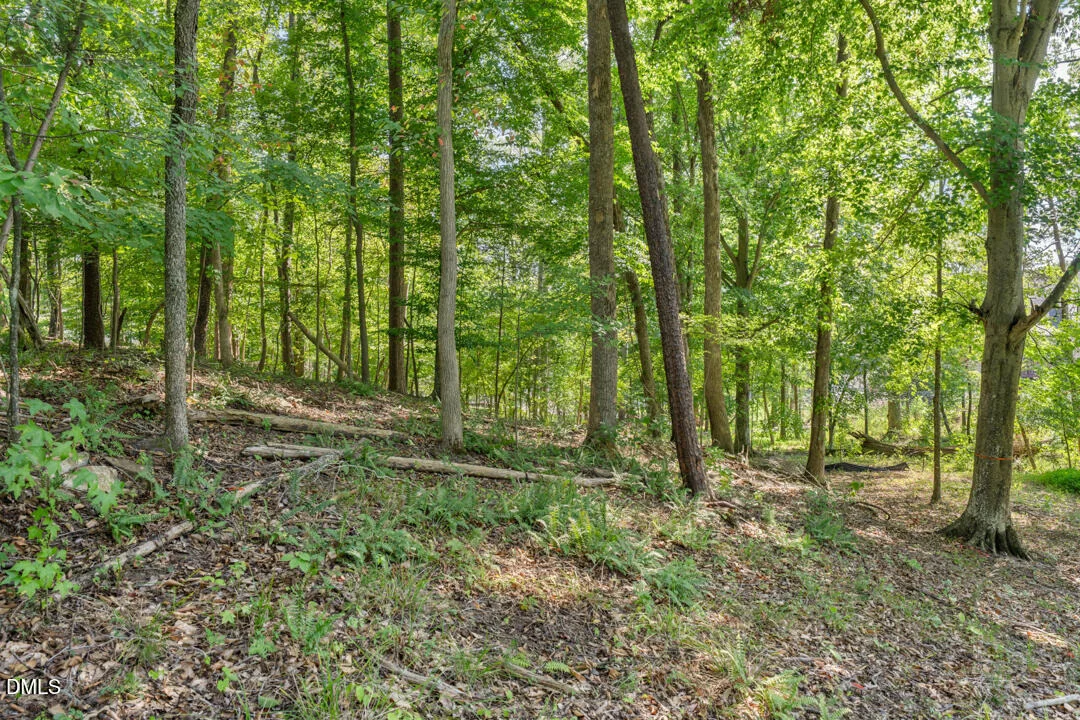 Photo of Lot 4 Wild Turkey Drive