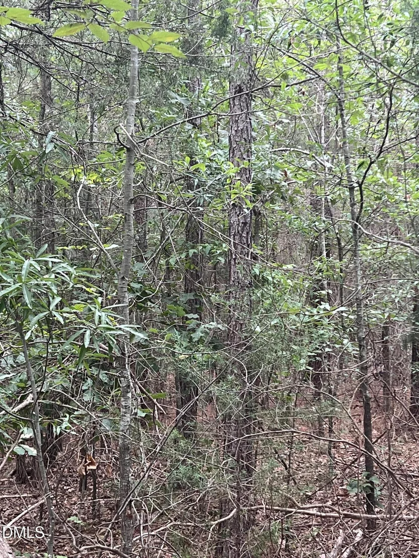 Photo of 00 Highway 49