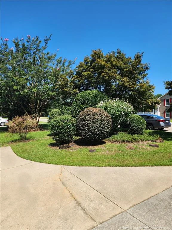 Photo of 191 Drew Street