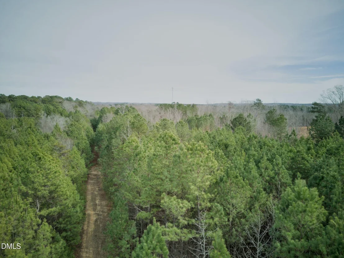 Photo of Lot 00 John Snipes Road