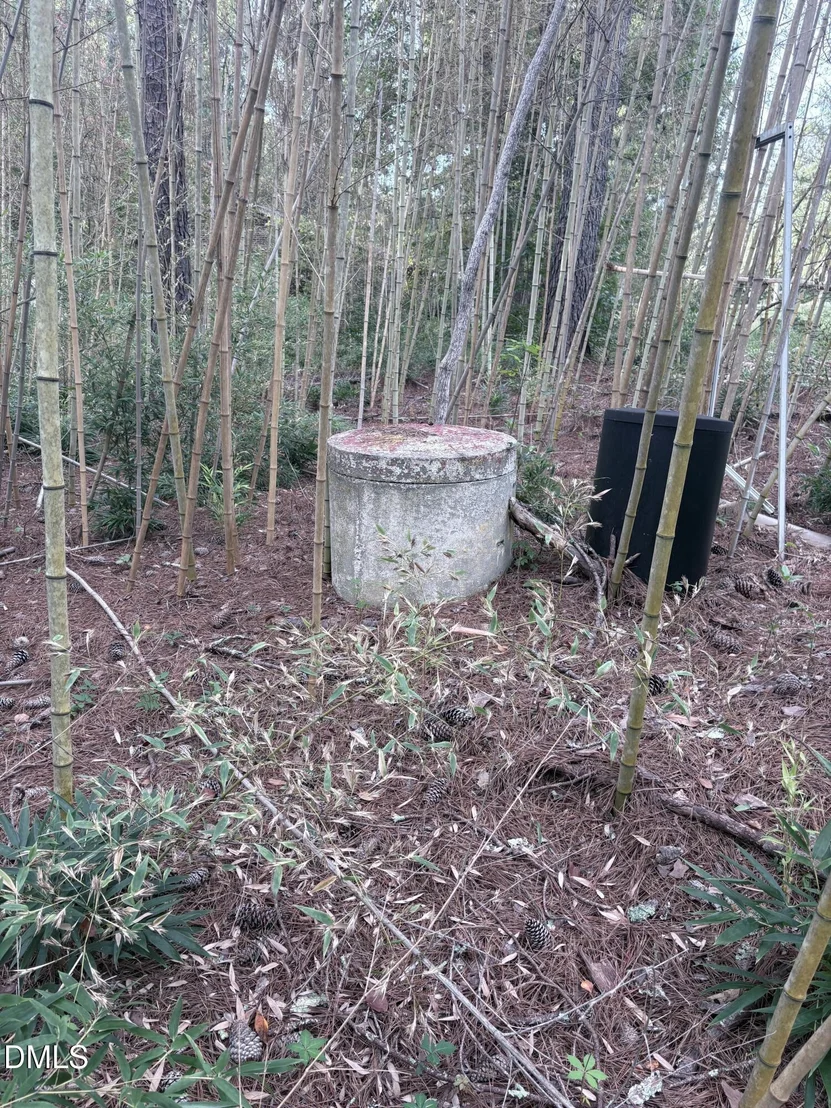 Photo of 222 Kings Road