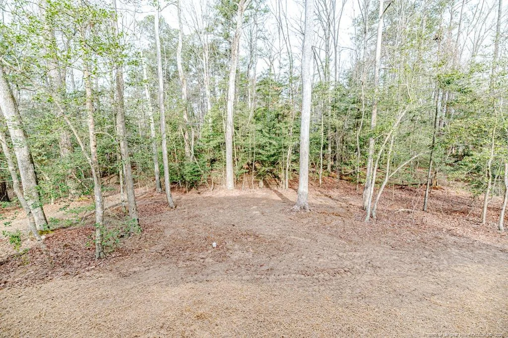 Photo of 1138 Beaver Branch