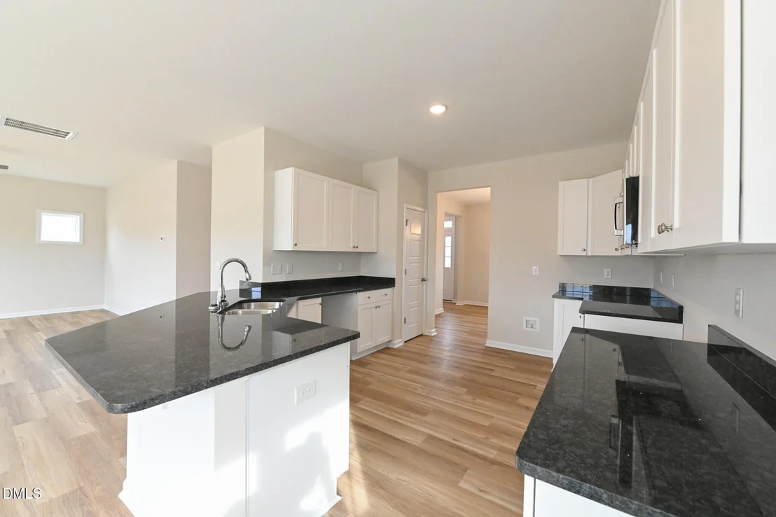 Photo of Unit LOT100 at 423 Black Duck Lane