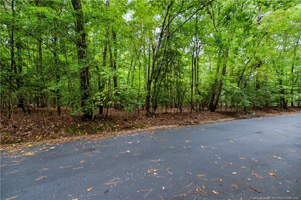 Photo of 2028 Long Point Trail