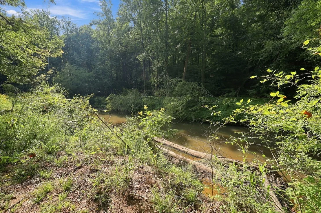 Photo of 4592 Boogaboo Trail