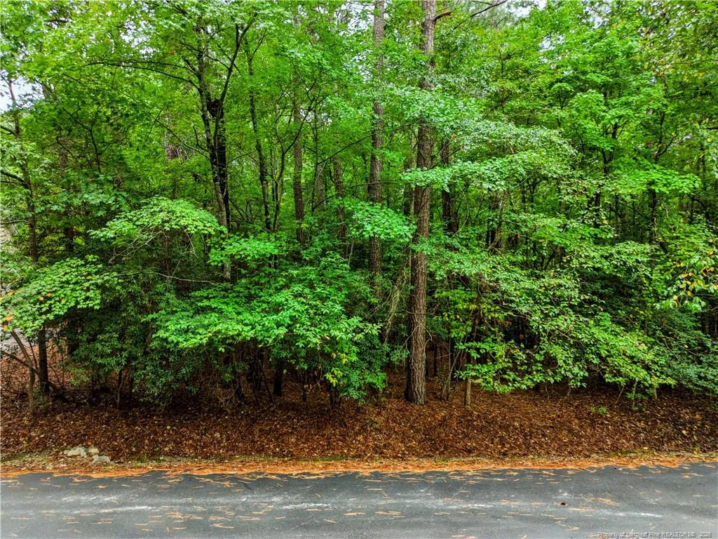 Photo of 2027 Long Point Trail