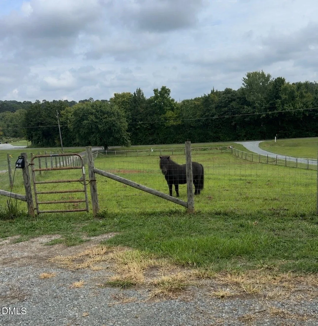 Photo of 4872 Thom Road