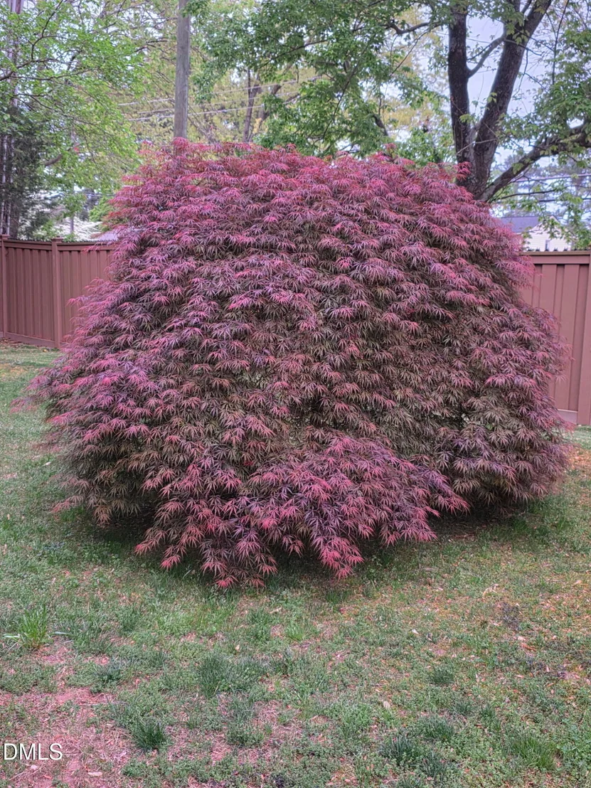 Photo of 5000 Cedarwood Drive