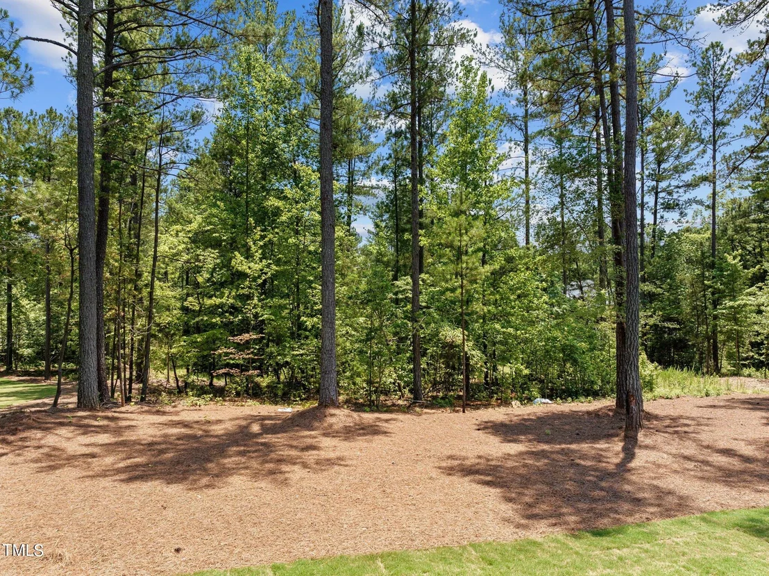 Photo of 1120 Springdale Drive
