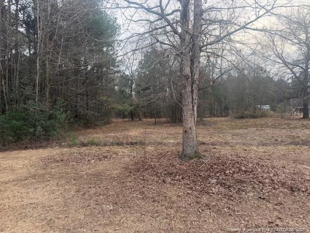 Photo of 95 Eric Lane