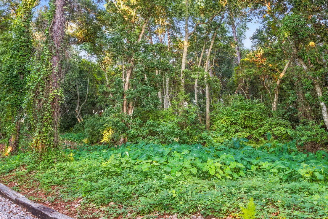 Photo of 3881 Indian Trail