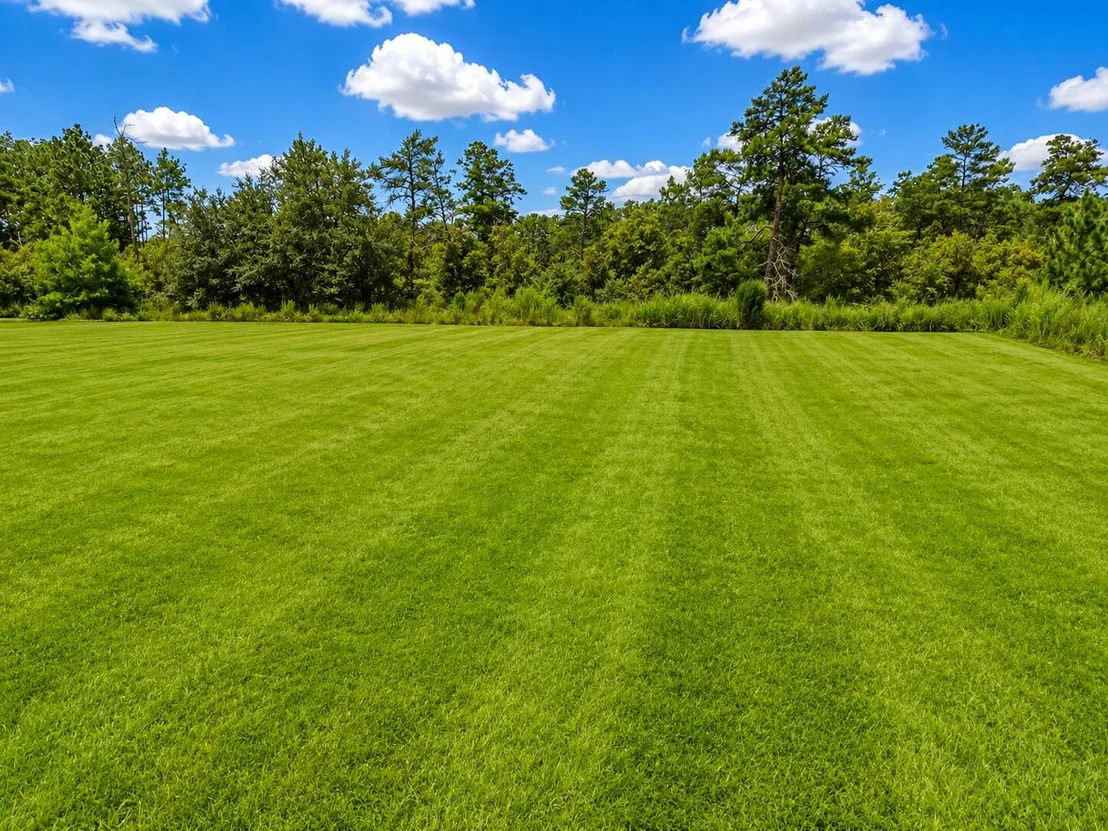 Photo of 503 Tournament Lane