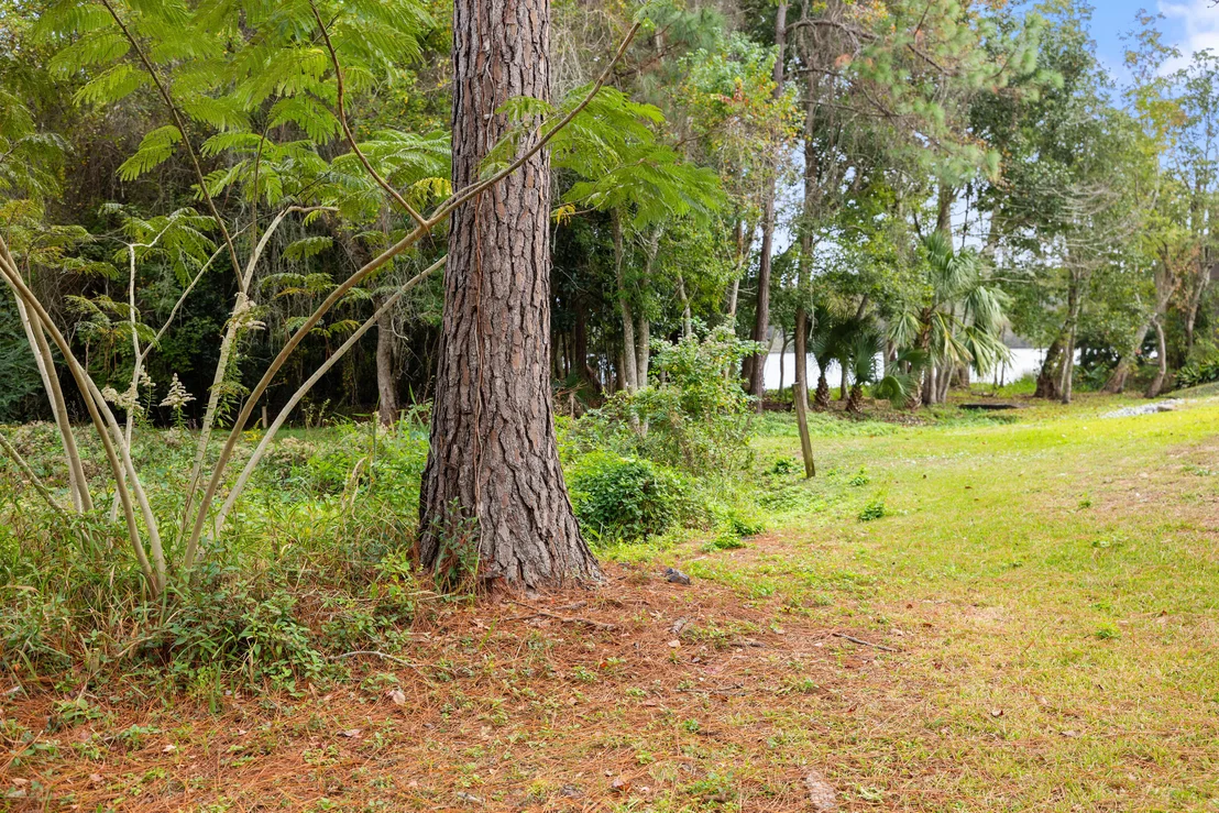 Photo of 25 Hidden Cove Circle