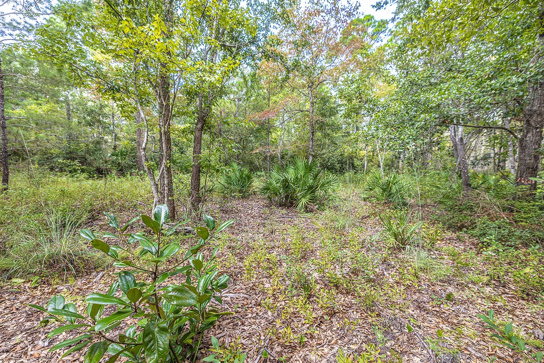 Photo of Lot 77 Harbour Trace