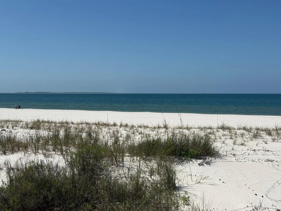 Photo of Lot 12 1st Street