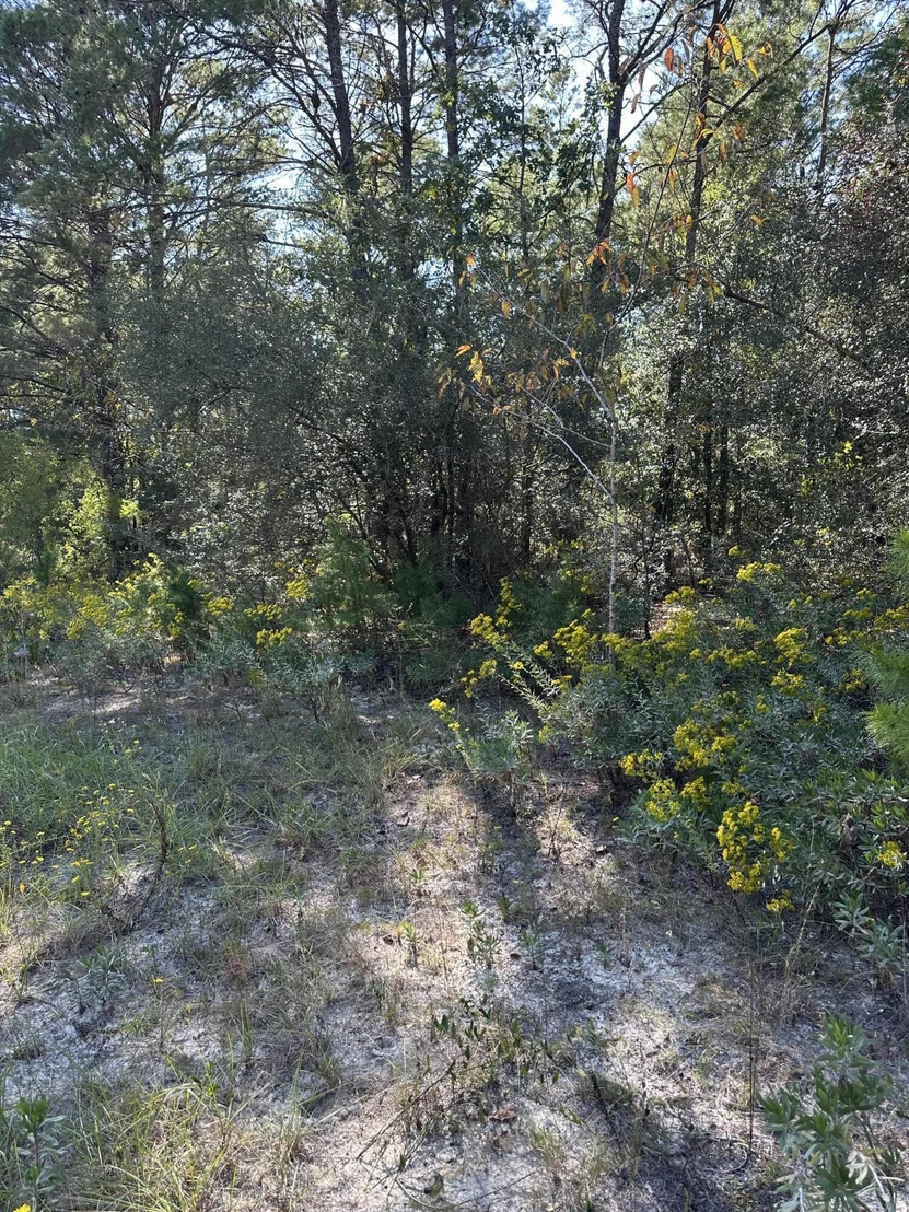 Photo of 134 Post Oak Road