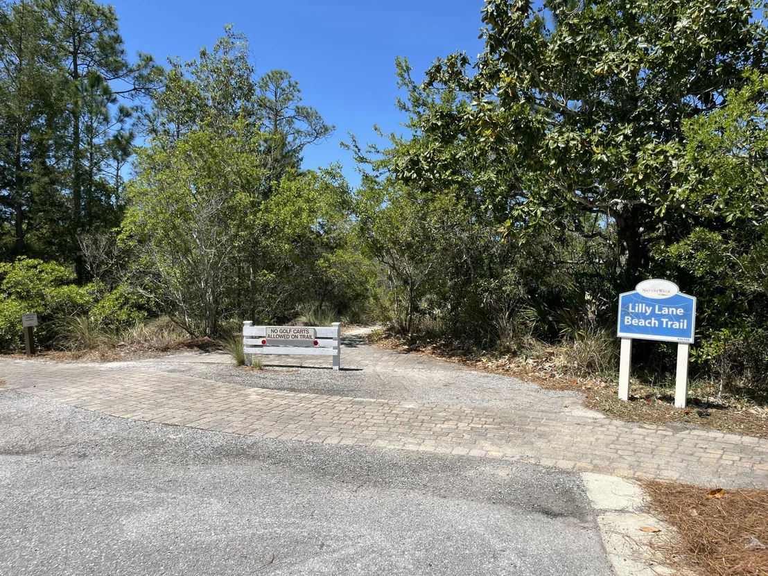 Photo of 305 Flatwoods Forest Loop