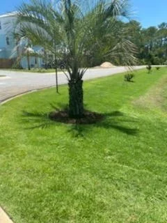 Photo of LOT 28 Shelley's Way