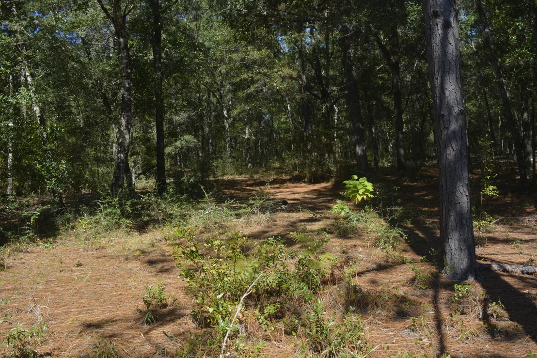 Photo of 2928 Aplin (33 ac.) Road
